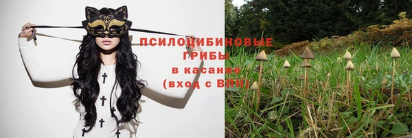 spice Арсеньев